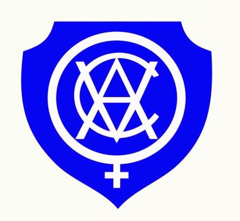 ESCUDOS DO MUNDO INTEIRO: CAMPEONATO PARAENSE DE FUTEBOL ...