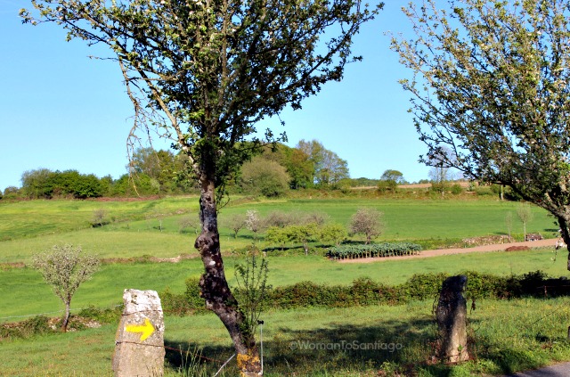 camino-de-santiago-frances-barbadelo-mercadoiro-flecha-amarilla