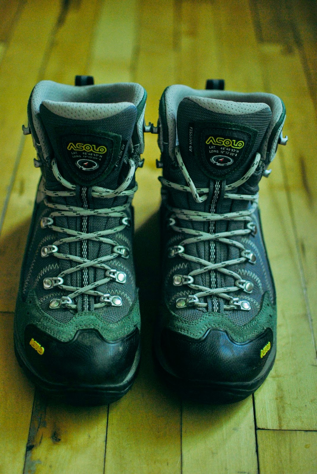 Surprises Like Spring Rain: Gear Review- Asolo Fission GV Hiking Boots