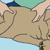  Massagem para cachorro - Conheça os benefícios