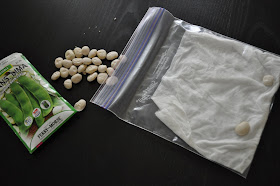 In it to pin it!: Seed Sprouting Bags