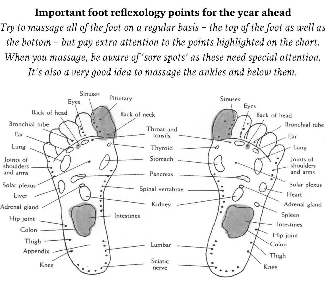 Virgo Health Horoscope 2017Free Monthly Horoscope 2017