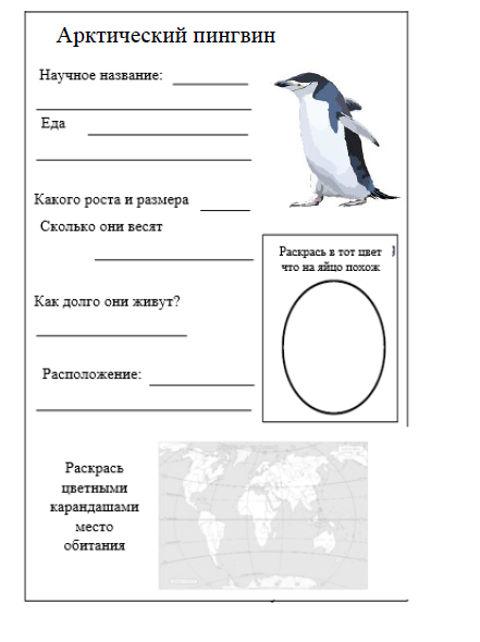 Комплексная работа пингвины ответы