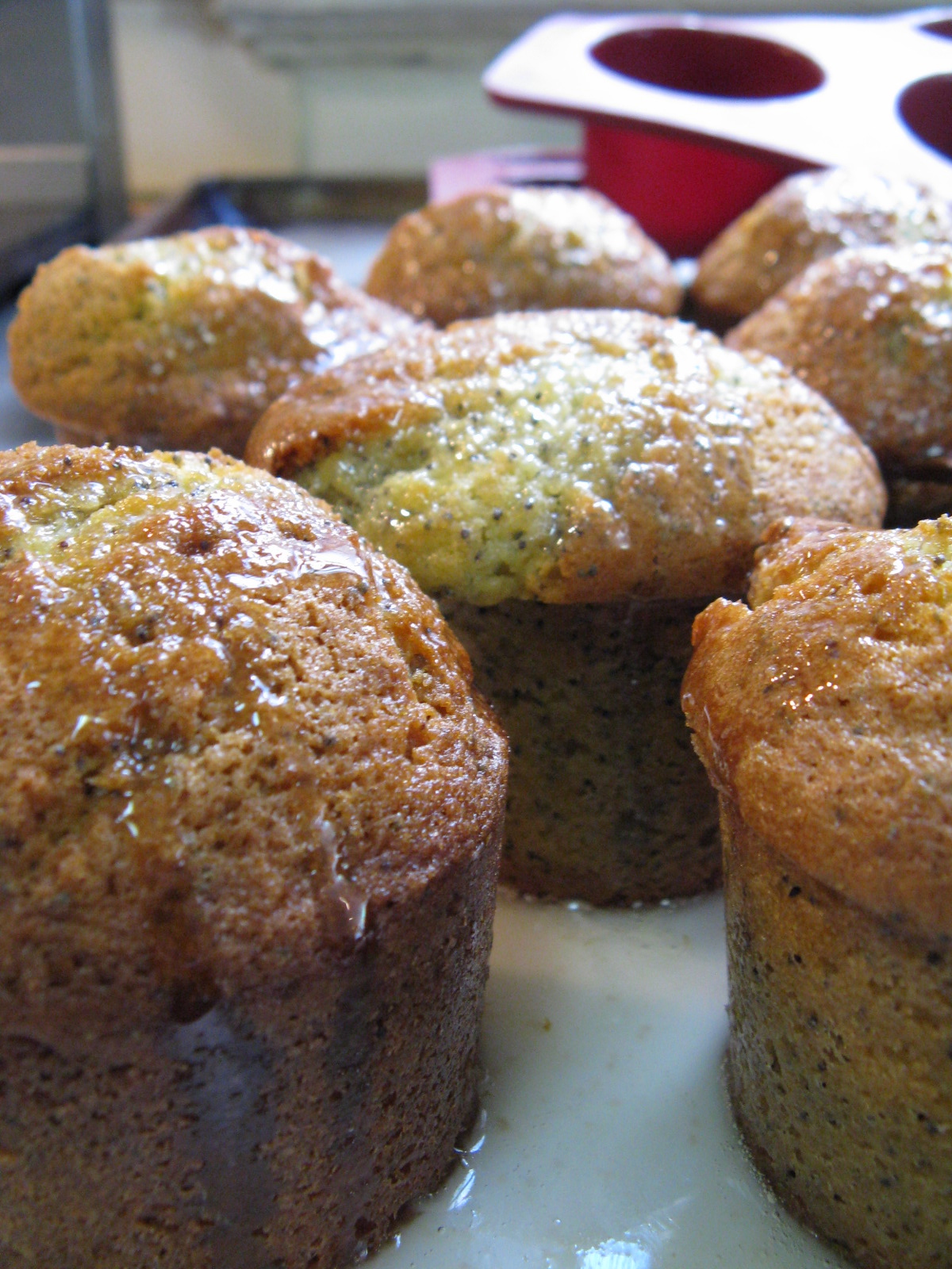 le sacristain muffins citron, graines de pavot le sacristain muffins citron, graines de pavot