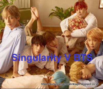 Singularity V BTS