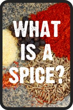 what is the difference between spice and herb?
