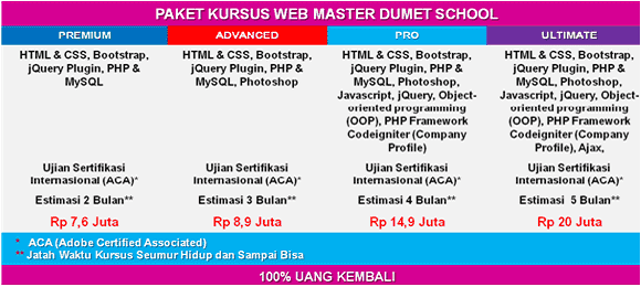 Kursus Web Master DUMET School