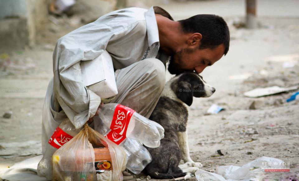 The Human Animal: A Personal View of the Human Species