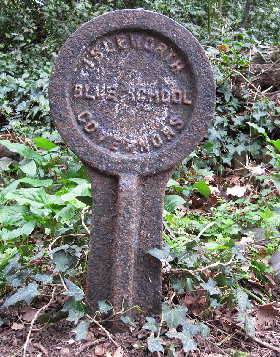 Crofton Heath, April. Naturally