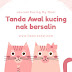 Tanda-Tanda Awal Kucing Nak Bersalin