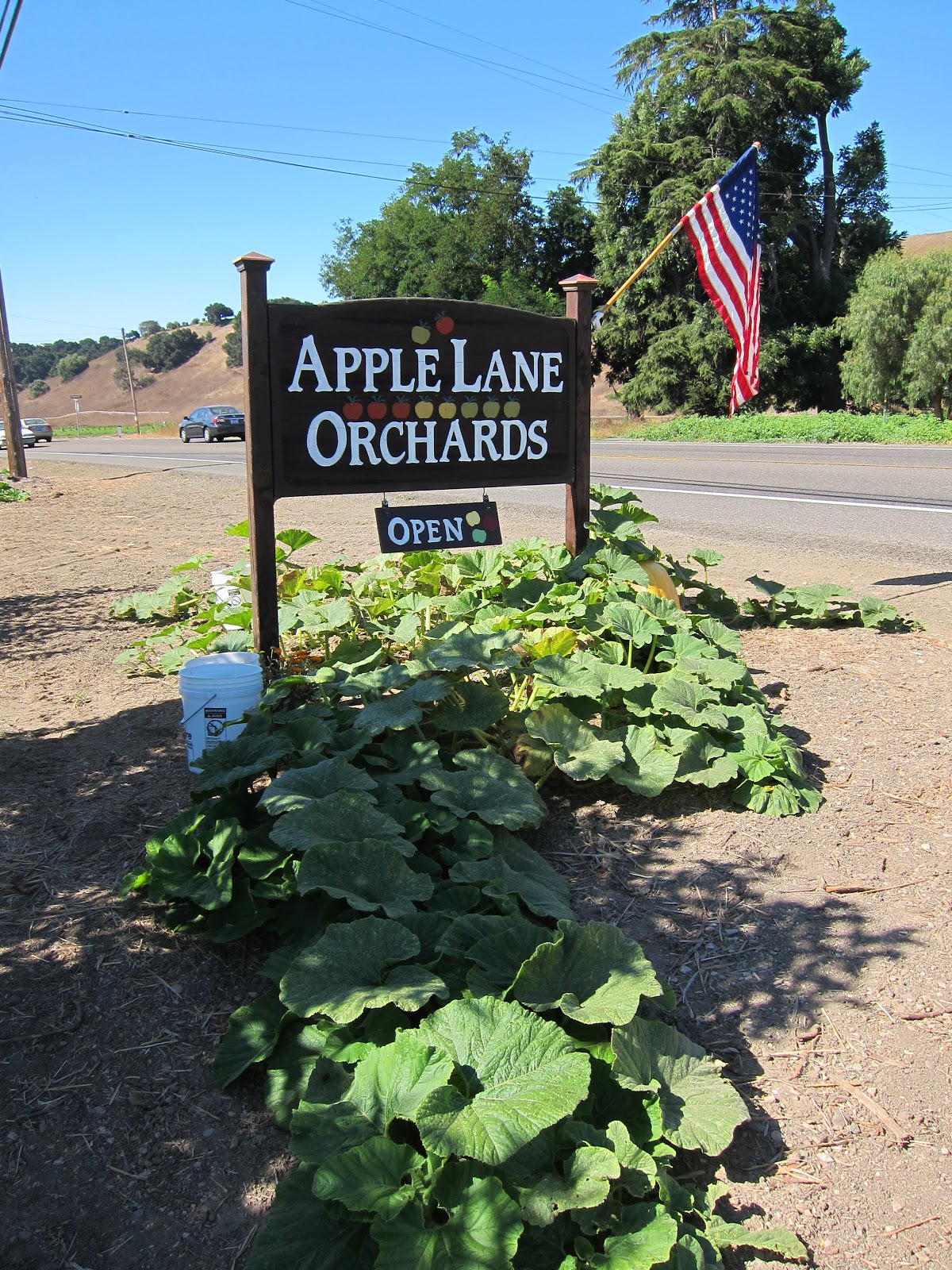 I'd Rather Be Eating Apple Lane Orchards Solvang, CA