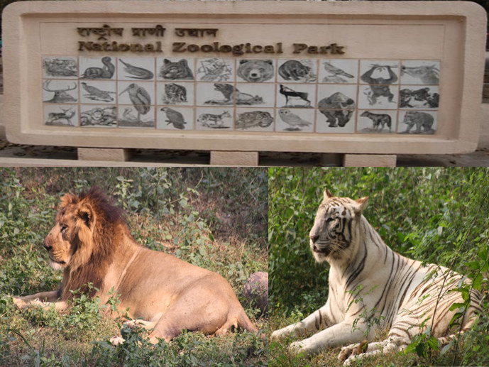 Delhi Zoo...