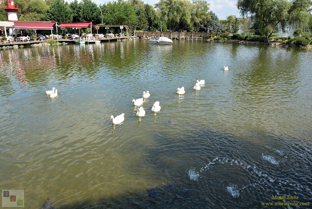 Bahçeşehir Park Gölet - Bahçeşehir Göleti - Bahçeşehir Gölet Alanı - Bahçeşehir Gölet Parkı