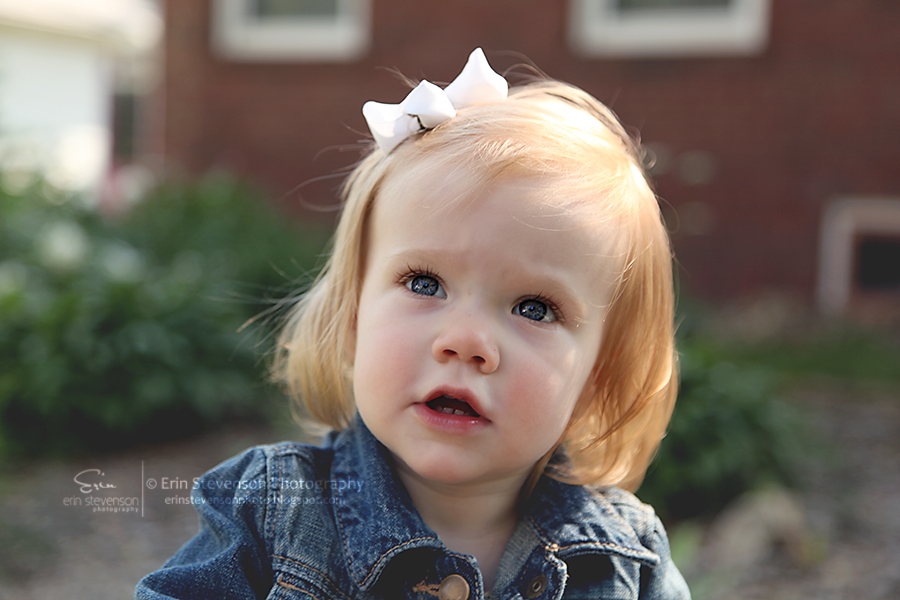 Erin Stevenson Photography: Adorable Miss Avery | Kewanee IL Family and ...
