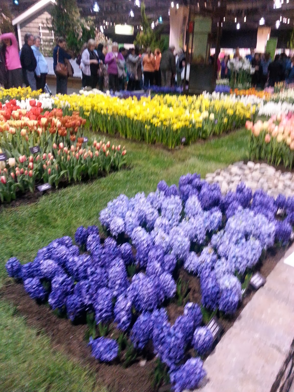 Primary Inspiration A Breath of Spring