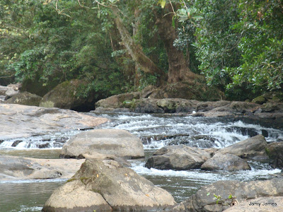 Thommankuthu Waterfall