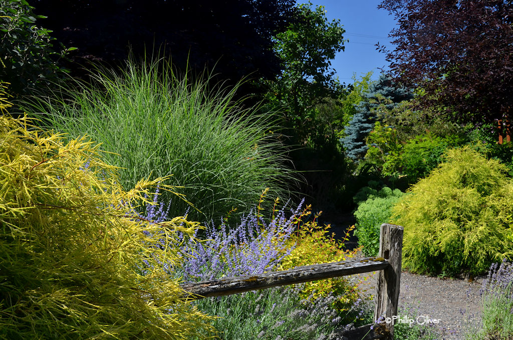 NatureScaping Wildlife Botanical Gardens