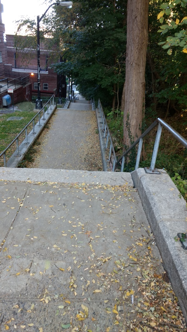 BronxPaperLover Photos and Notices Amalgamated Houses