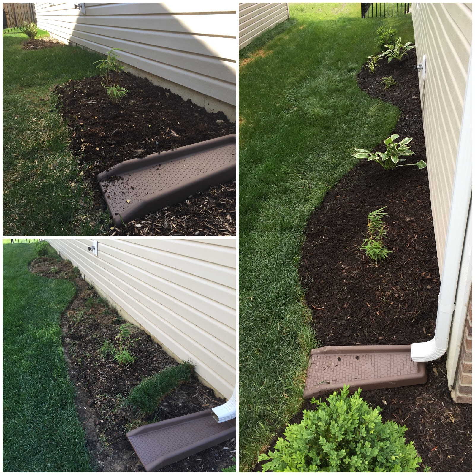 Dry Shade Side Yard Expanded with Free Plant Divisions [Backyard Neophyte Landscaping Blog]