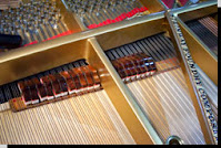 strings in an acoustic piano