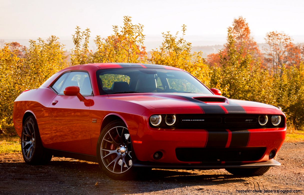 New 2015  2016 Dodge Challenger For Sale   CarGurus