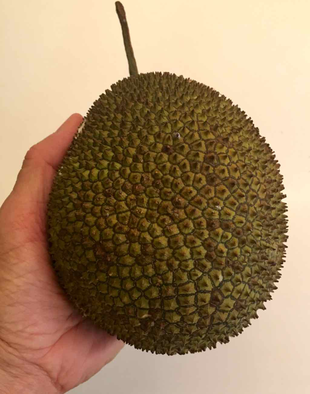 Musings on Life in Hong Kong Minijackfruit
