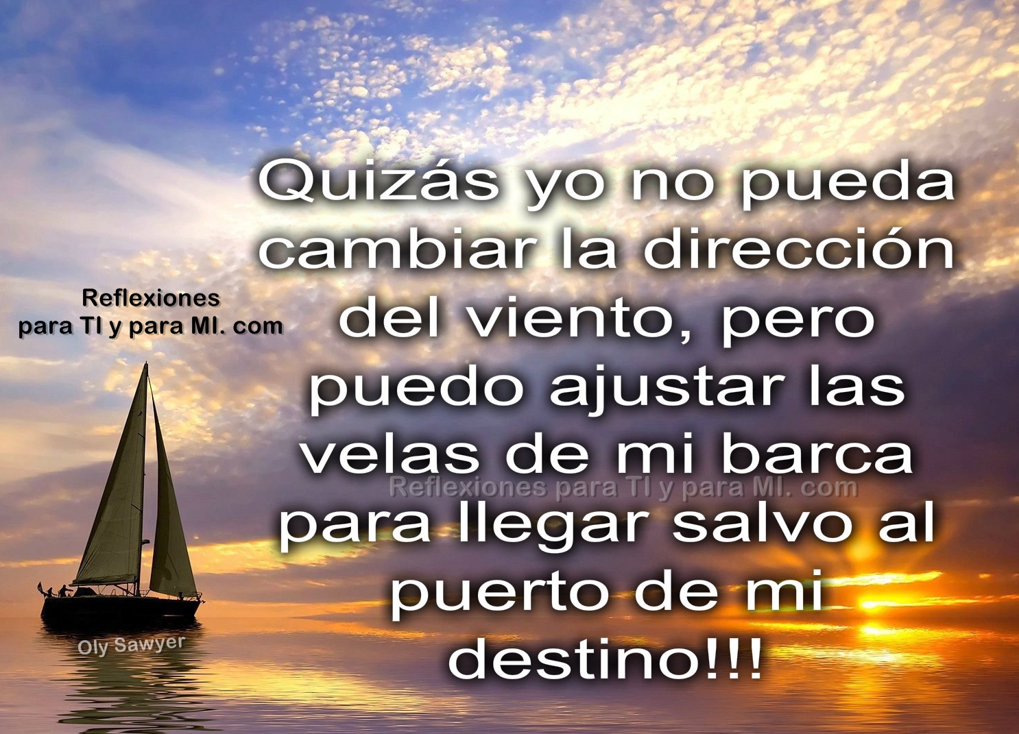 Ver las imágenes de origen