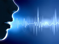 12 Best Speech Recognition Software