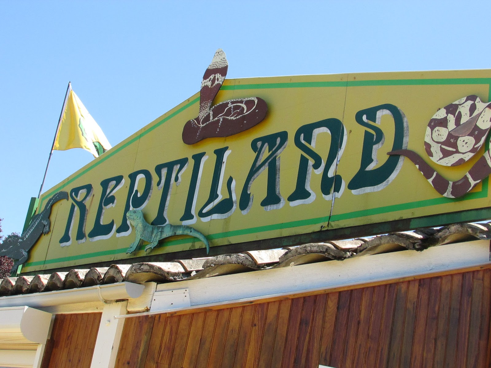 Viens découvrir où je vis 9 Visite chez Reptiland