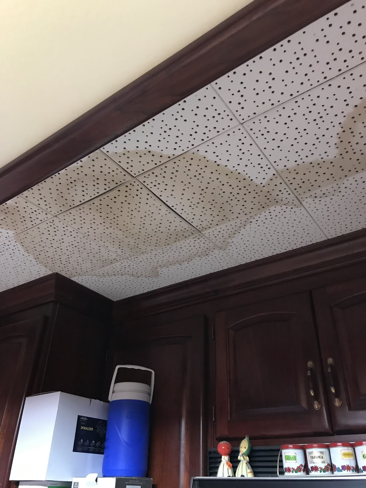Michelle Martine Merrill S Picture Of The Day Leaky Ceiling