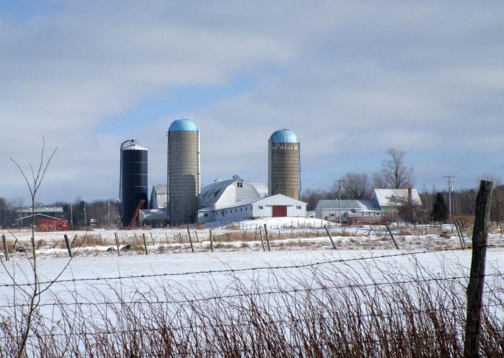 Windswept Adventure Garvin Road, Brushton New York Part 2