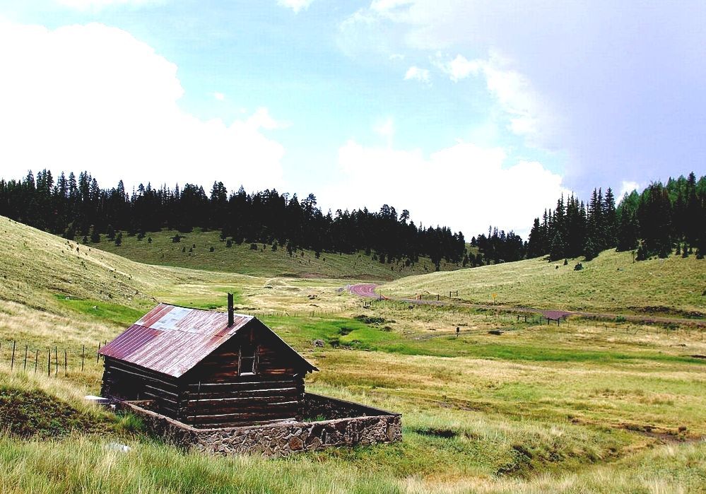 Russell Johnson - Fine Art: White Mountains, Big Lake, AZ