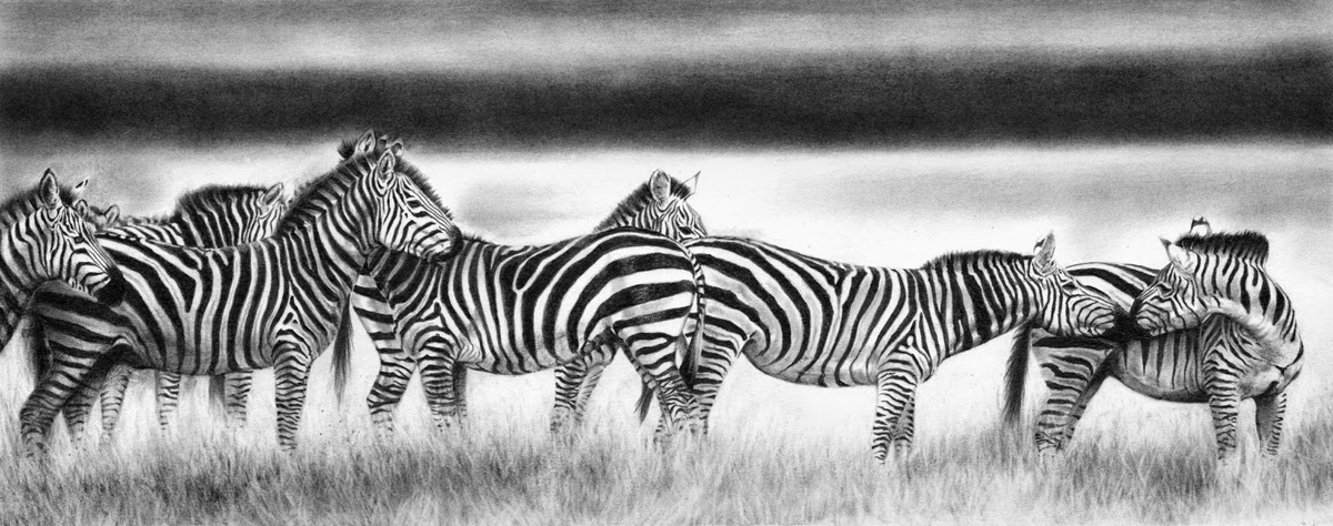17-Zebra-Panorama-Hyper-Realistic-Wildlife-Peter-Williams-www-designstack-co
