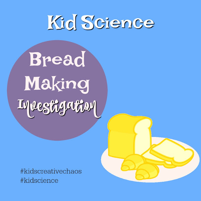 Kid Science Lesson on Matter Bread Making Investigation