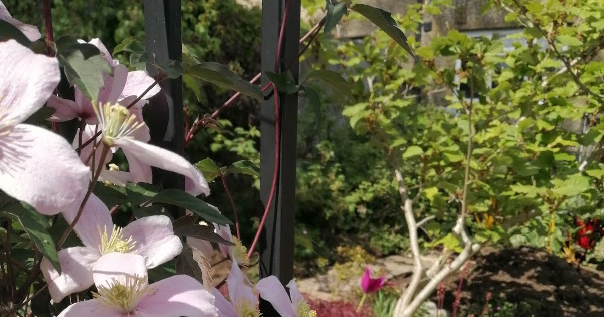 Https Encrypted Tbn0 Gstatic Com Images Q Tbn 3aand9gcrhhwsuaryfwliuzfjdfc M5 H108qrhmh8ow Usqp Cau