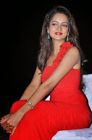 actress_shanvi_latest_stills_tollyscreen