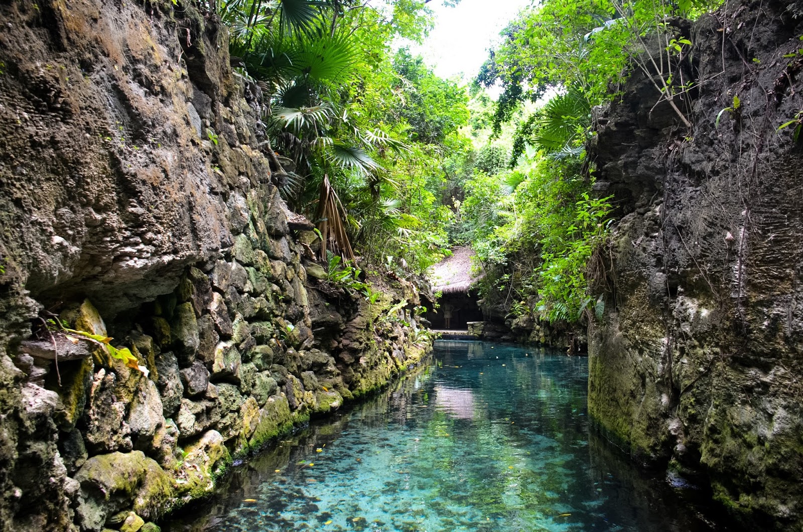 The Underground Rivers of Xcaret Explore Shaw