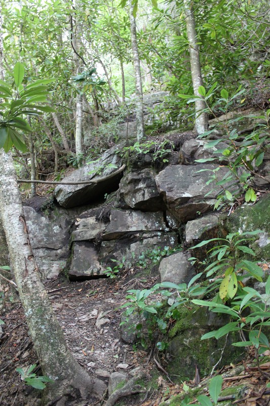 Til the Last Hemlock Dies Red Fork Falls