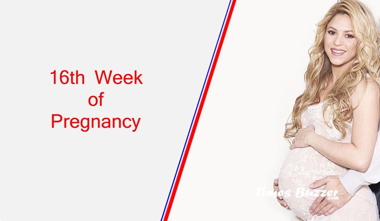 16th Week of Pregnancy