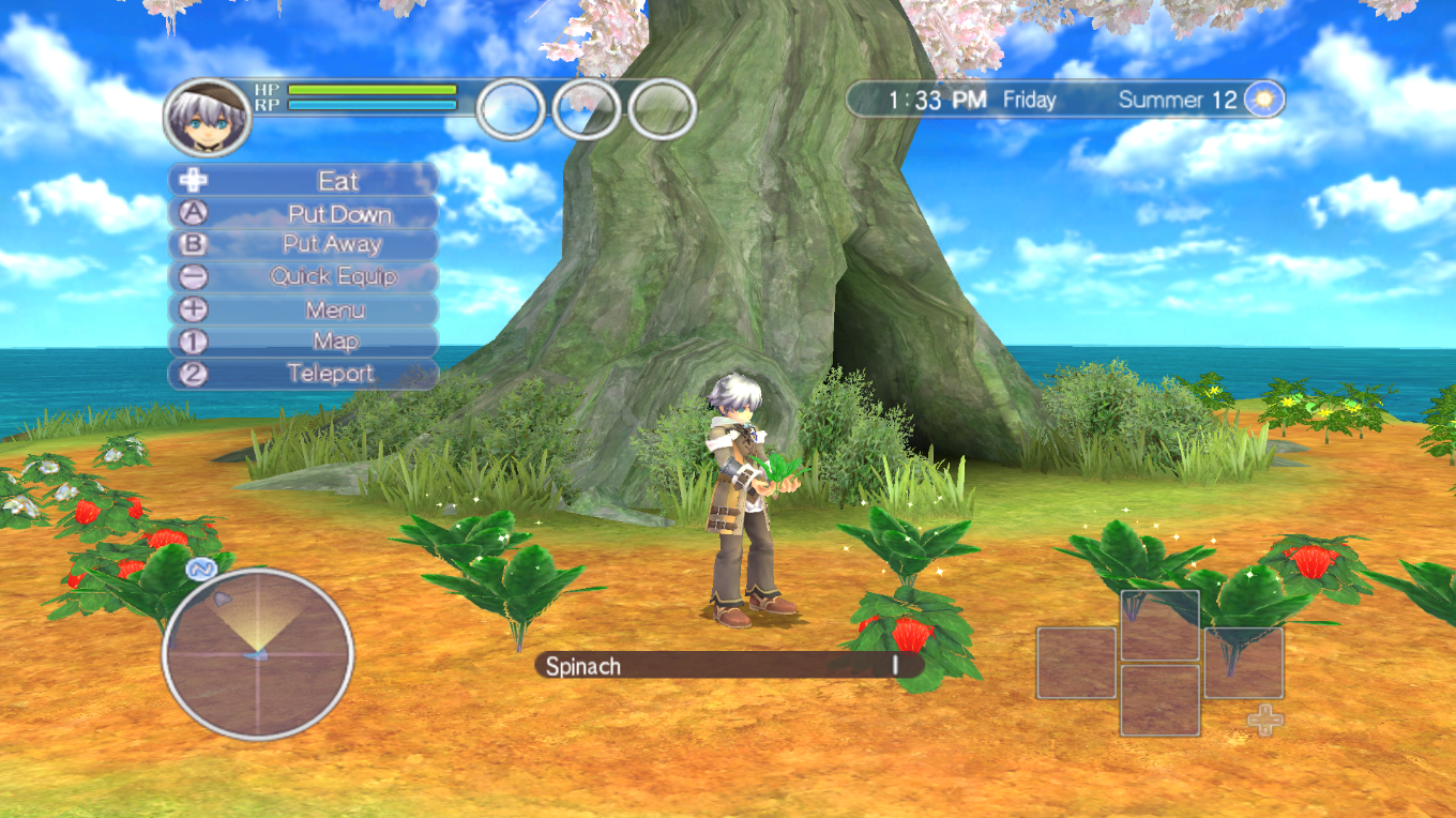 Rune Factory : Tides of Destiny | Kouki Morikawa's
