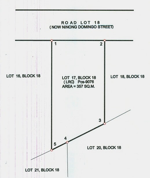 Residential Vacant Lot BF Homes Caloocan (00005)