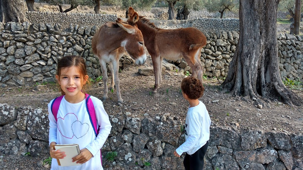 burros camino sa foradada