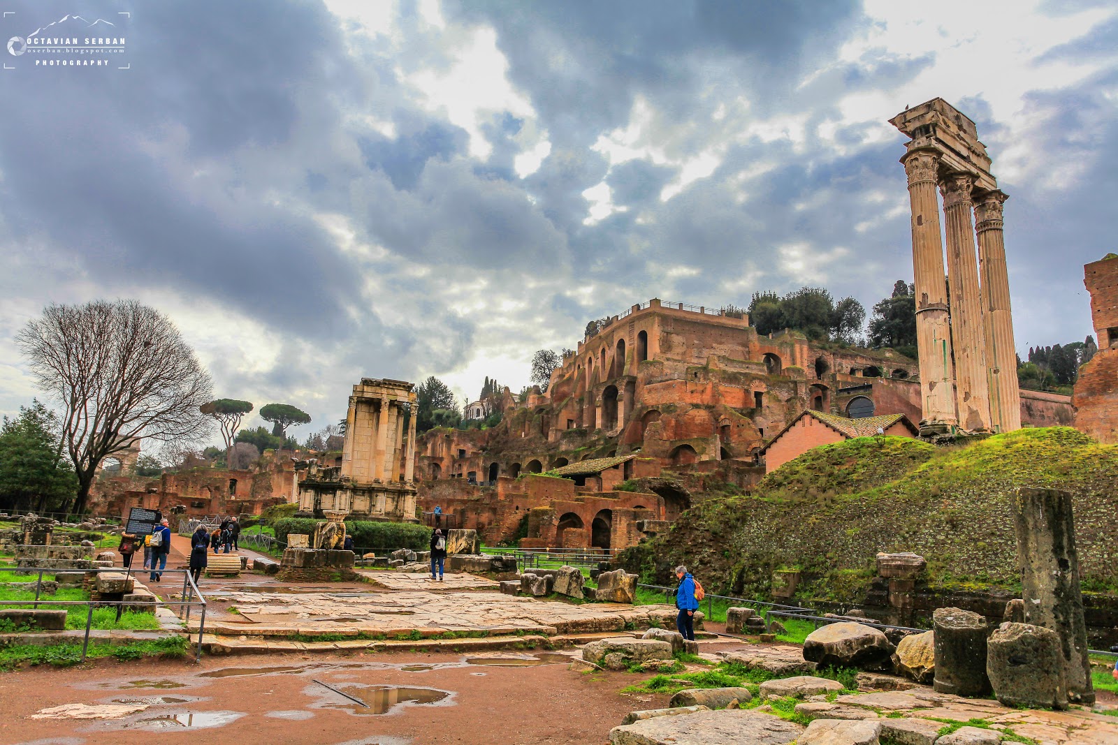 Octavian Serban Temple of Venus and