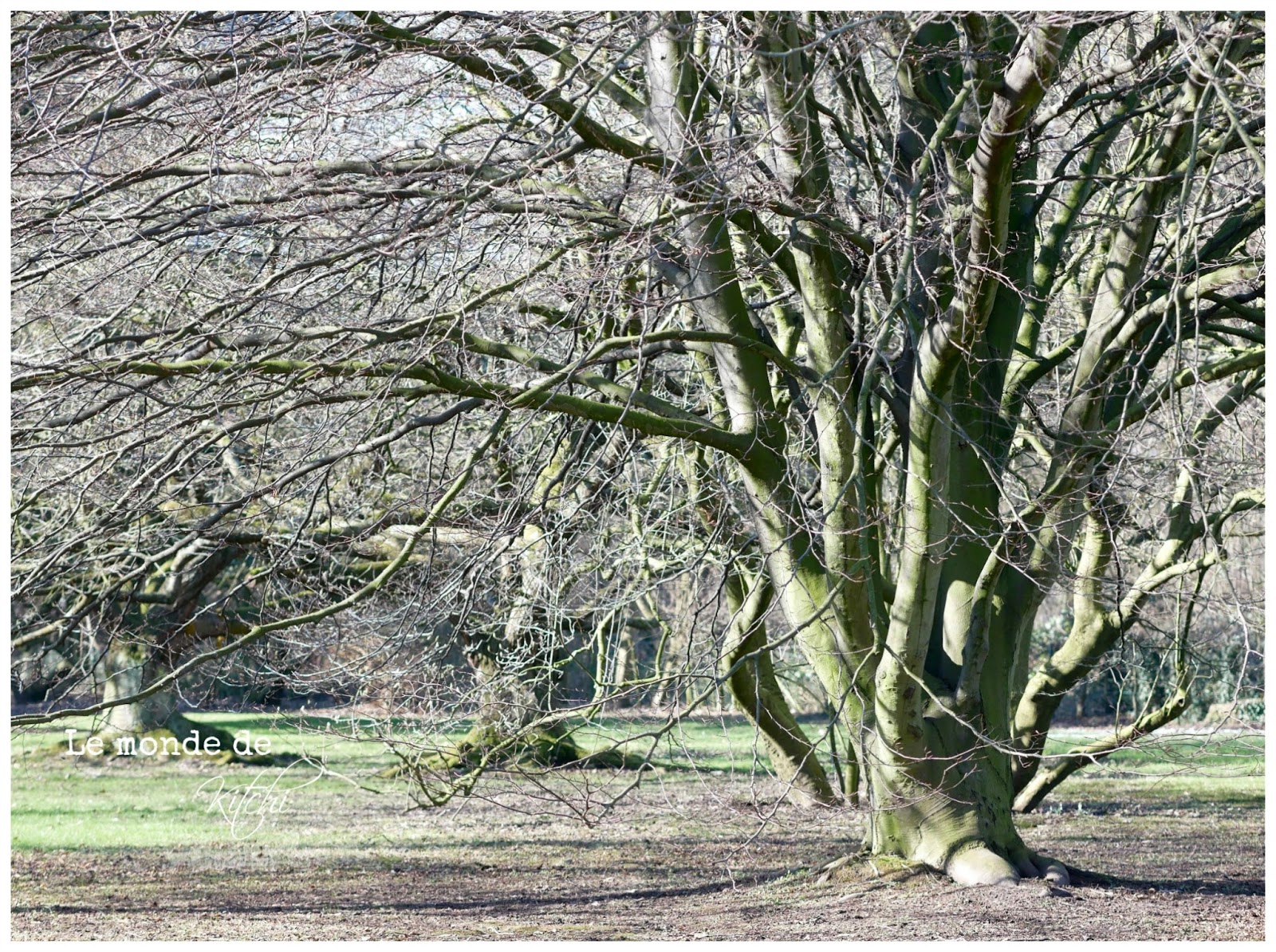 Le Monde De Kitchi Februar 2018