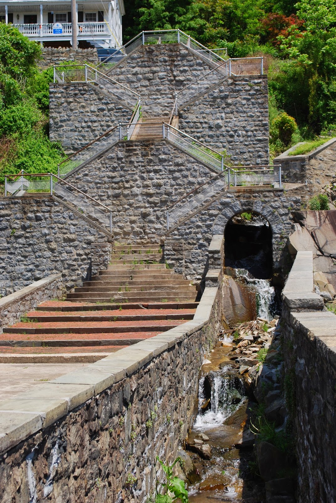 Vote No'Malley Port Deposit Fishing Report