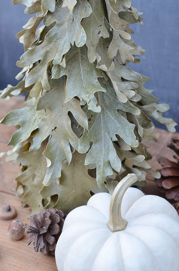 Learn how to use dried oak leaves to create a beautiful tree for your fall decor.  Created by anderson + grant for Craftberry Bush.