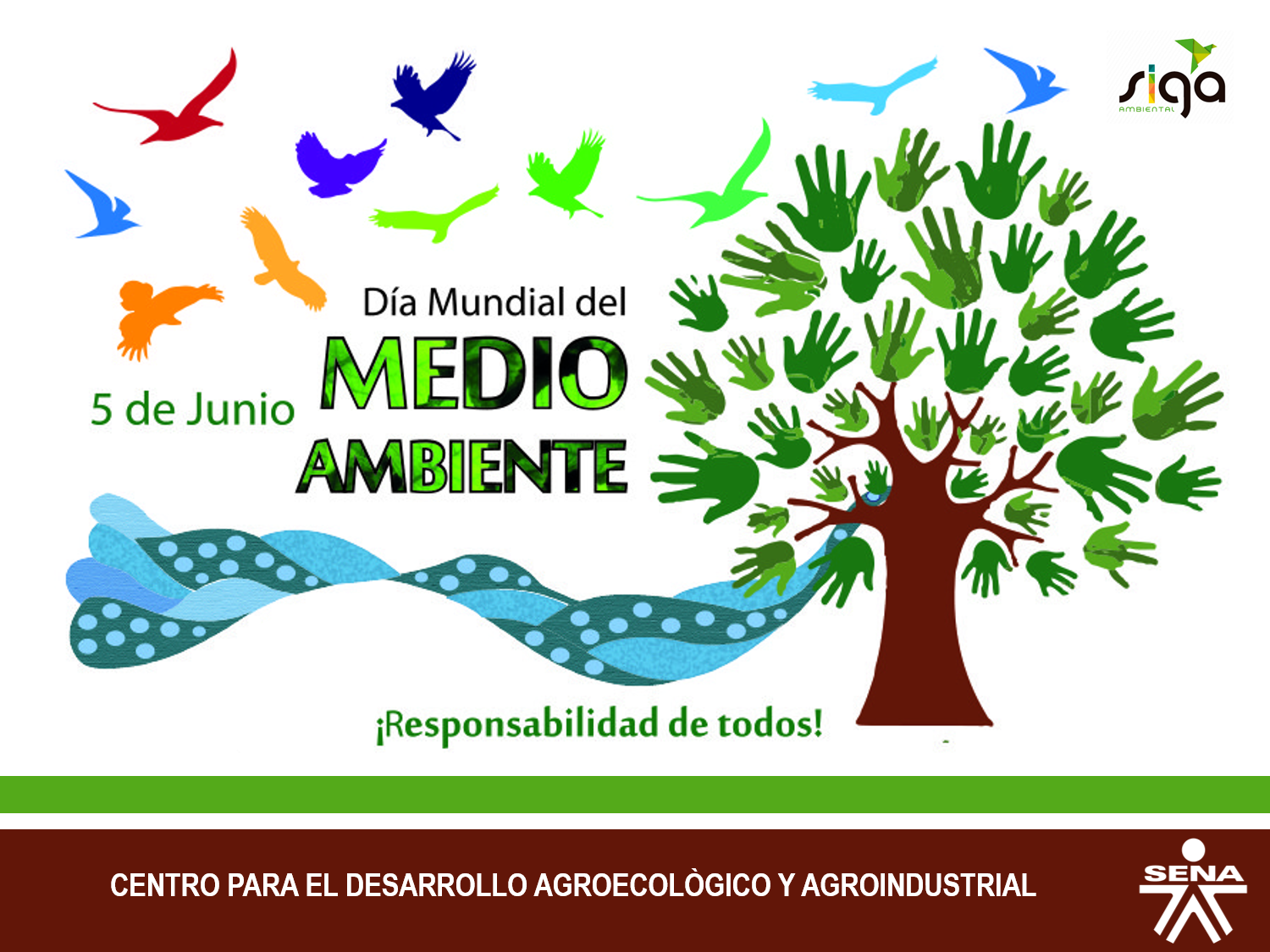 Centro para el Desarrollo Agroecológico y Agroindustrial 5 de Junio