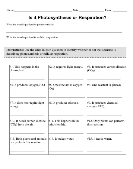 Photosynthesis Review Worksheet High School Answers  high school biologyphotosynthesis and 