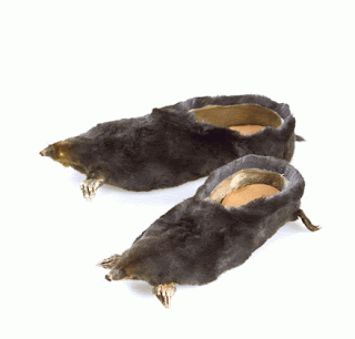 The Ugliest Shoes In The World That Shouldnt Exist - mi5av8a