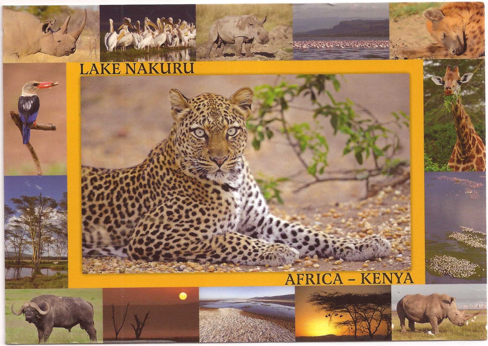 TRAVEL THE WORLD THROUGH POSTCARDS!!! Lake Nakuru, Kenya